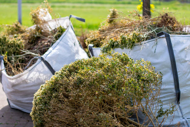  White Rock, NM Junk Removal Pros